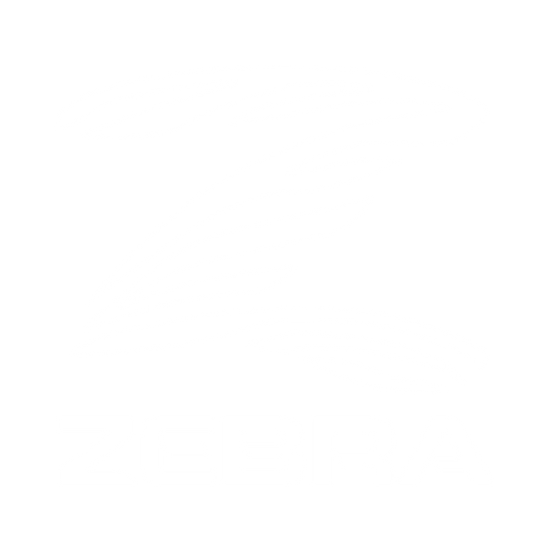 zebra mats logo